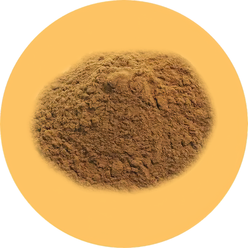 //nutriburst.myshopify.com/cdn/shop/files/Echinacea_Extract_4_-low_res-scale-2_00x_ab01c2a9-0611-4ab1-aba8-ae242e300f07_200x.png?v=1675397086