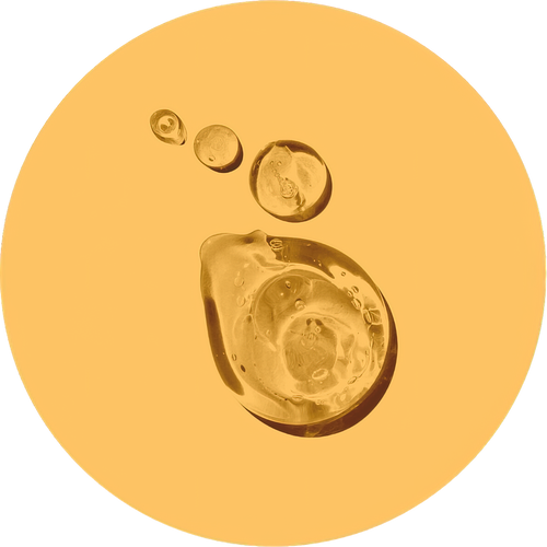 //nutriburst.myshopify.com/cdn/shop/files/Maltitol_Liquid-low_res-scale-2_00x_52c7049a-0335-40b6-b30f-89abc68c811b_200x.png?v=1675397086