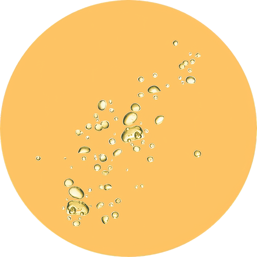 //nutriburst.myshopify.com/cdn/shop/files/Natural_Passion_Fruit_Type_Flavor_Halal_2027569-low_res-scale-2_00x_db508dc7-60f5-4258-ae01-da478494cfb9_200x.png?v=1675397085