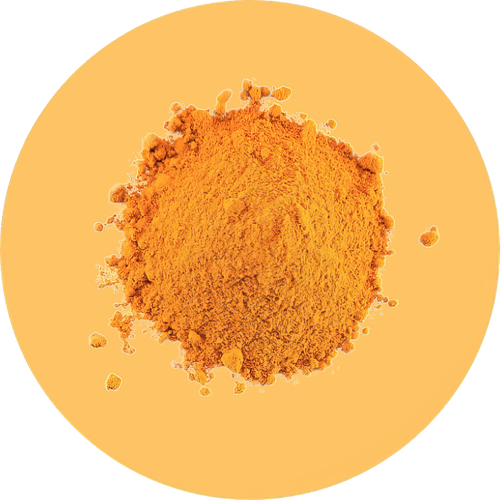 //nutriburst.myshopify.com/cdn/shop/files/Turmeric_Powder_Extract_95_-low_res-scale-2_00x_38e69c0e-501e-484d-a16b-4c49519dece6_200x.png?v=1675397086