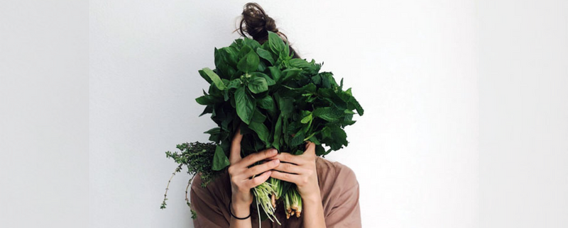 The Best Vegan Protein Combinations for a Well-Balanced Diet