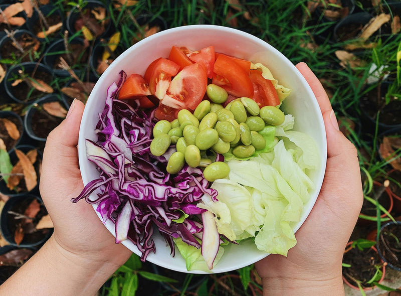 What foods are high in collagen?
