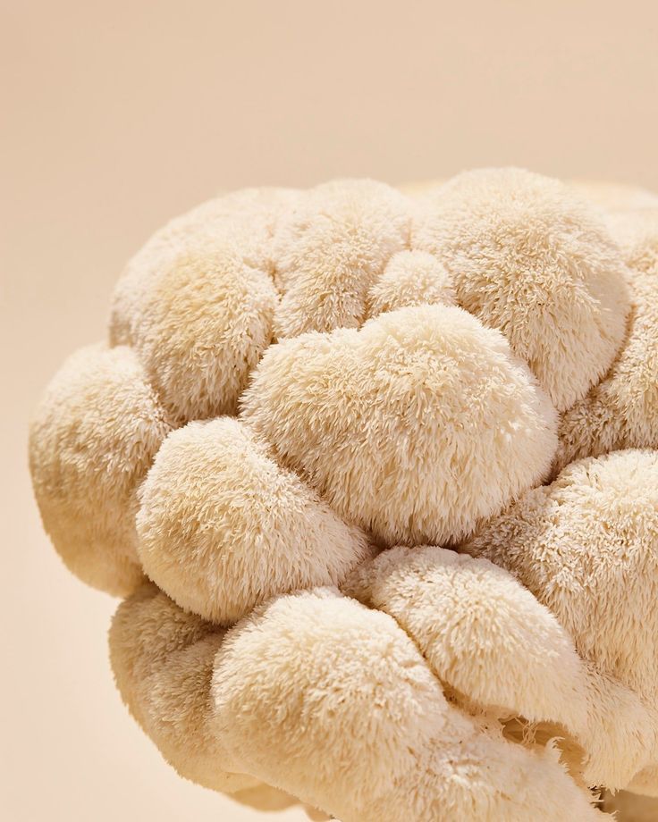 The Wellness Report #1: Mushroom Coffee, magic or myth?
