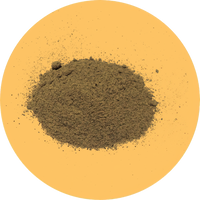 //nutriburst.myshopify.com/cdn/shop/files/Black_Pepper_95__Piperine-low_res-scale-2_00x_004869d1-c086-4076-9c99-9cc2820c1913_200x.png?v=1675397086
