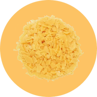 //nutriburst.myshopify.com/cdn/shop/files/Capol_45-4915-low_res-scale-2_00x_219f44d3-3190-4abd-94db-8703a06b9c19_200x.png?v=1675397086