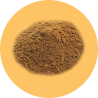 //nutriburst.myshopify.com/cdn/shop/files/Echinacea_Extract_4_-low_res-scale-2_00x_ab01c2a9-0611-4ab1-aba8-ae242e300f07_200x.png?v=1675397086