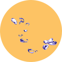 //nutriburst.myshopify.com/cdn/shop/files/Natural_Blueberry_Flavor_WONF_2025748-low_res-scale-2_00x_f66cb118-b3be-40fe-84c2-6bc35a1c60a2_200x.png?v=1675397086
