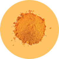 //nutriburst.myshopify.com/cdn/shop/files/Turmeric_Powder_Extract_95_-low_res-scale-2_00x_38e69c0e-501e-484d-a16b-4c49519dece6_200x.png?v=1675397086