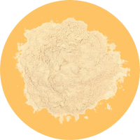//nutriburst.myshopify.com/cdn/shop/files/Vegan_KSM-66_Ashwagandha-low_res-scale-2_00x_0b03405d-c362-4d84-b1af-e9078f330c64_200x.png?v=1675397087